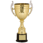 Suggest Product Thumbnail